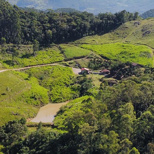 Terreno Rural Terreno Rural à Venda no Km 63 em Tubarão-SC - Correta Imobiliária